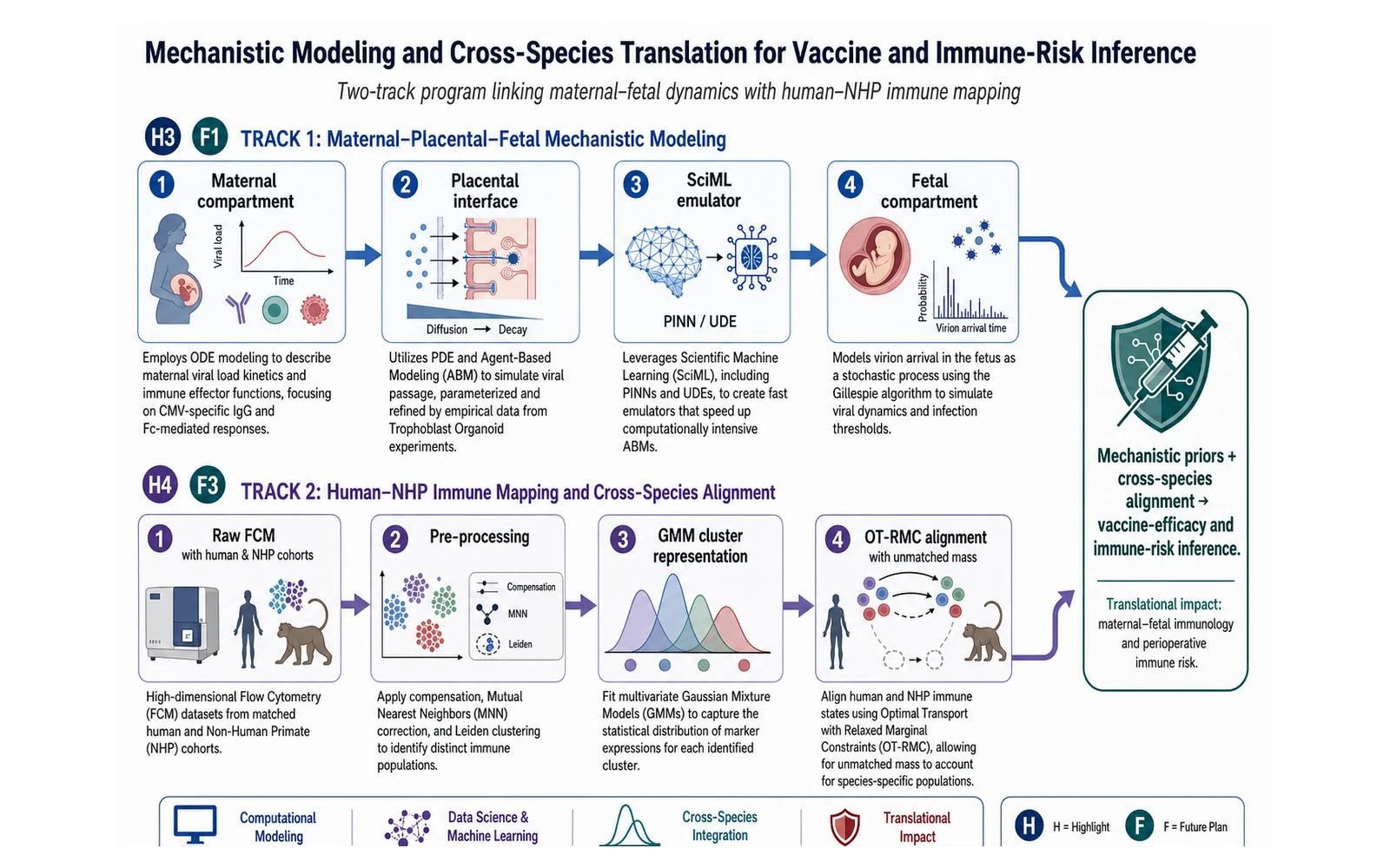Two-track workflow combining maternal-placental-fetal mechanistic modeling with human and non-human-primate immune-cell mapping and OT-RMC alignment.