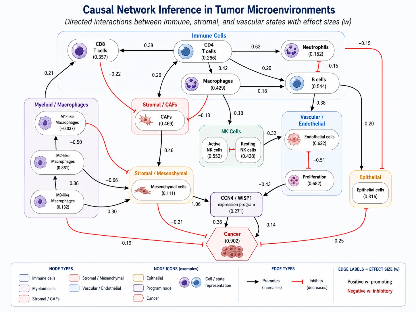 Directed causal interaction map of immune, myeloid, stromal, vascular, epithelial, gene-program, and cancer states with promoting and inhibitory effect-size edges.